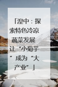 湟中：探索特色冷凉蔬菜发展 让“小菊芋”成为“大产业”