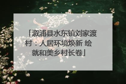 溆浦县水东镇刘家渡村：人居环境焕新 绘就和美乡村长卷