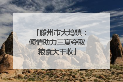 滕州市大坞镇：倾情助力三夏夺取粮食大丰收