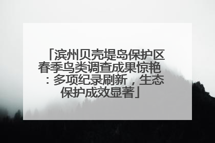 滨州贝壳堤岛保护区春季鸟类调查成果惊艳：多项纪录刷新，生态保护成效显著