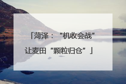 菏泽：“机收会战”让麦田“颗粒归仓”
