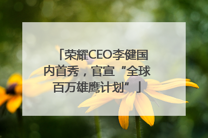 荣耀CEO李健国内首秀，官宣“全球百万雄鹰计划”