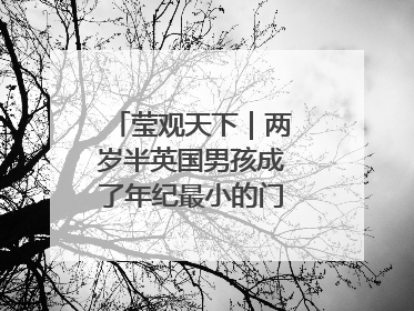莹观天下｜两岁半英国男孩成了年纪最小的门萨俱乐部成员