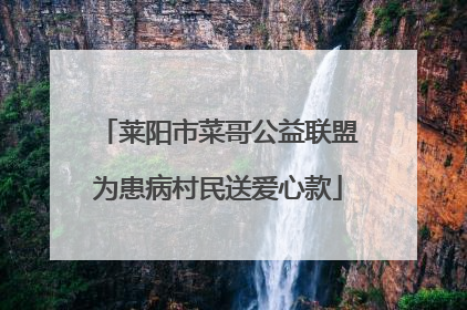 莱阳市菜哥公益联盟为患病村民送爱心款