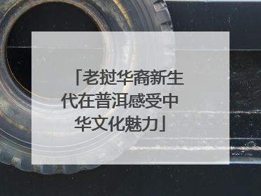 老挝华裔新生代在普洱感受中华文化魅力