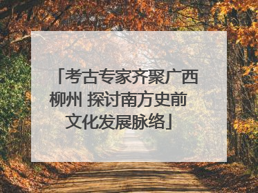 考古专家齐聚广西柳州 探讨南方史前文化发展脉络