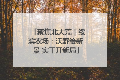 聚焦北大荒｜绥滨农场：沃野绘新景 实干开新局
