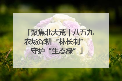 聚焦北大荒｜八五九农场深耕“林长制” 守护“生态绿”