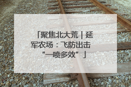 聚焦北大荒｜延军农场：飞防出击 “一喷多效”