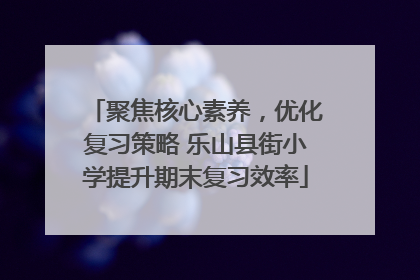 聚焦核心素养，优化复习策略 乐山县街小学提升期末复习效率