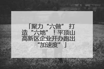 聚力“六做” 打造“六地”！平顶山高新区企业开办跑出“加速度”