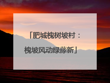 肥城槐树坡村：槐坡风动绿藤新