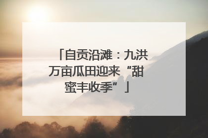 自贡沿滩：九洪万亩瓜田迎来“甜蜜丰收季”