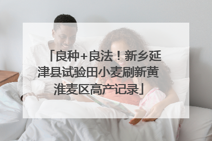 良种+良法！新乡延津县试验田小麦刷新黄淮麦区高产记录