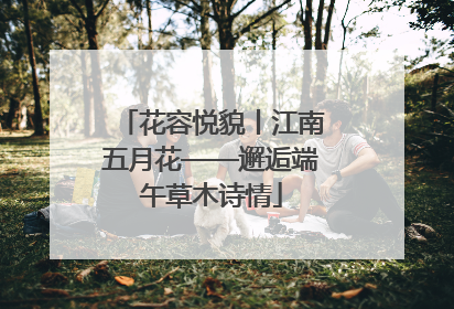 花容悦貌丨江南五月花——邂逅端午草木诗情