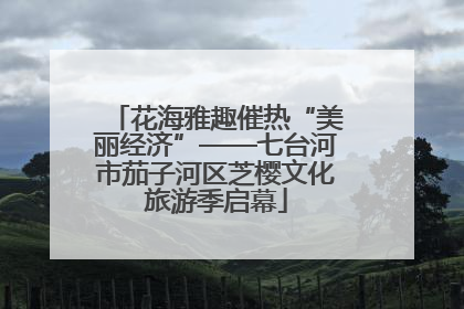 花海雅趣催热“美丽经济”——七台河市茄子河区芝樱文化旅游季启幕