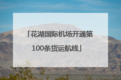 花湖国际机场开通第100条货运航线