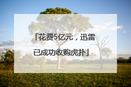 花费5亿元，迅雷已成功收购虎扑
