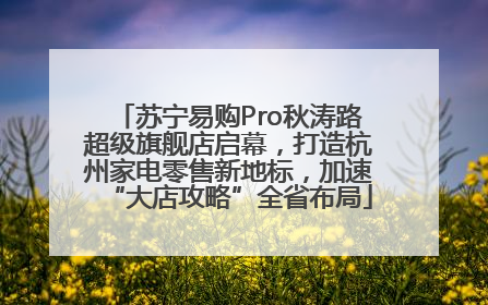 苏宁易购Pro秋涛路超级旗舰店启幕，打造杭州家电零售新地标，加速“大店攻略”全省布局