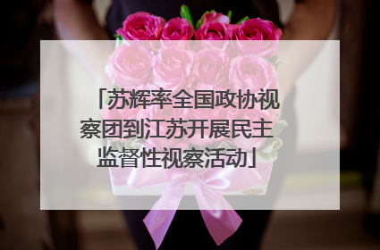 苏辉率全国政协视察团到江苏开展民主监督性视察活动