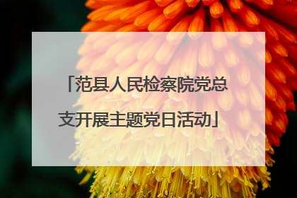 范县人民检察院党总支开展主题党日活动