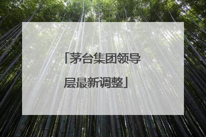茅台集团领导层最新调整