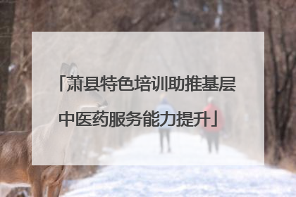 萧县特色培训助推基层中医药服务能力提升