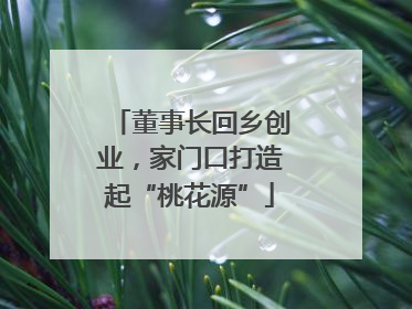 董事长回乡创业，家门口打造起“桃花源”