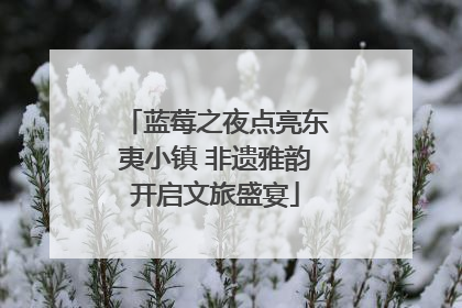 蓝莓之夜点亮东夷小镇 非遗雅韵开启文旅盛宴