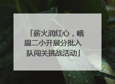 薪火润红心，峨眉二小开展分批入队闯关挑战活动