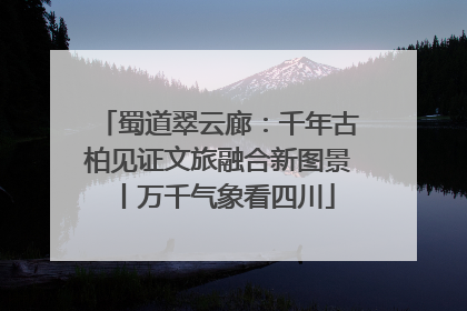 蜀道翠云廊：千年古柏见证文旅融合新图景丨万千气象看四川