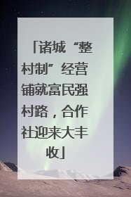 诸城“整村制”经营铺就富民强村路，合作社迎来大丰收