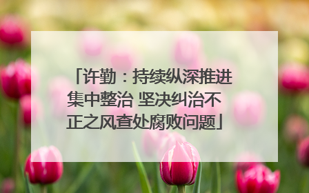 许勤：持续纵深推进集中整治 坚决纠治不正之风查处腐败问题