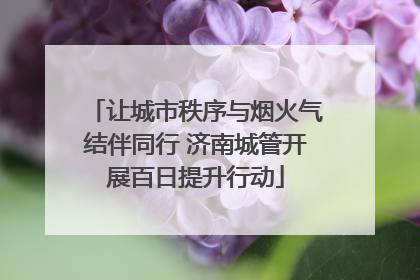 让城市秩序与烟火气结伴同行 济南城管开展百日提升行动