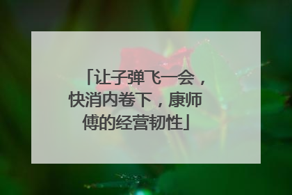 让子弹飞一会，快消内卷下，康师傅的经营韧性