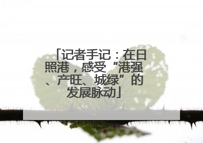 记者手记：在日照港，感受“港强、产旺、城绿”的发展脉动