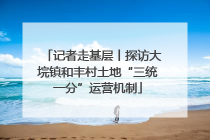 记者走基层丨探访大垸镇和丰村土地“三统一分”运营机制