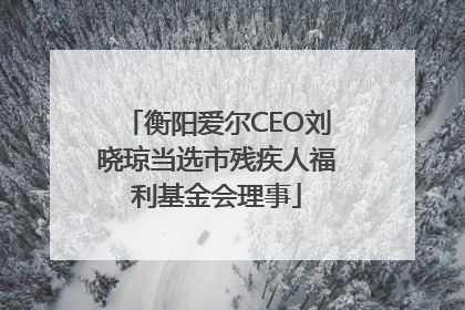 衡阳爱尔CEO刘晓琼当选市残疾人福利基金会理事
