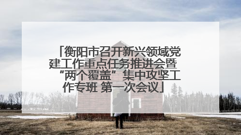衡阳市召开新兴领域党建工作重点任务推进会暨“两个覆盖”集中攻坚工作专班 第一次会议