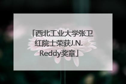 西北工业大学张卫红院士荣获J.N.Reddy奖章