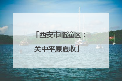 西安市临潼区：关中平原夏收