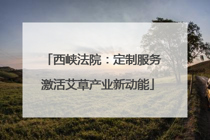 西峡法院：定制服务激活艾草产业新动能