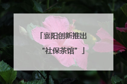 襄阳创新推出“社保茶馆”