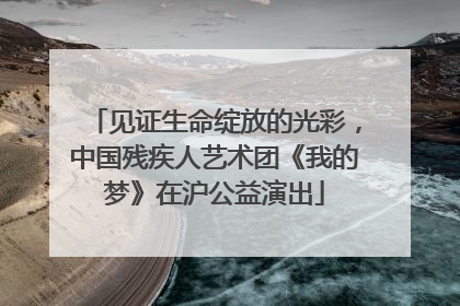 见证生命绽放的光彩，中国残疾人艺术团《我的梦》在沪公益演出