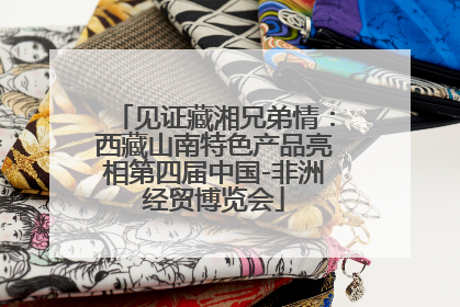 见证藏湘兄弟情：西藏山南特色产品亮相第四届中国-非洲经贸博览会