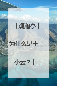 观澜亭｜为什么是王小云？