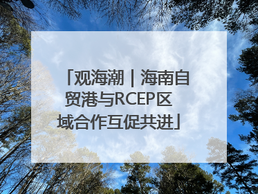 观海潮｜海南自贸港与RCEP区域合作互促共进