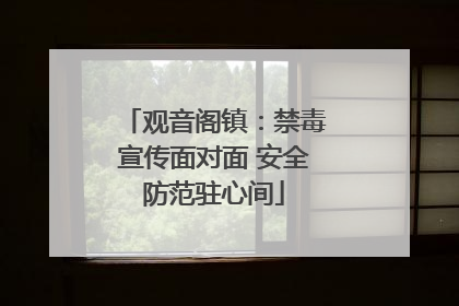 观音阁镇：禁毒宣传面对面 安全防范驻心间