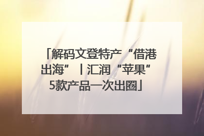 解码文登特产“借港出海”丨汇润“苹果”5款产品一次出圈