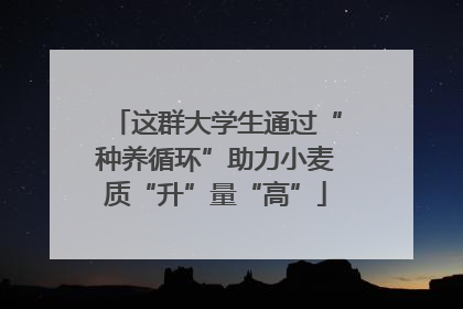 这群大学生通过“种养循环”助力小麦质“升”量“高”